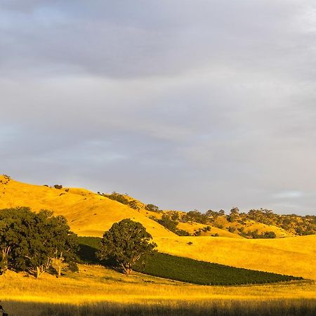 Dairyman'S Cottage Lyndoch Екстериор снимка