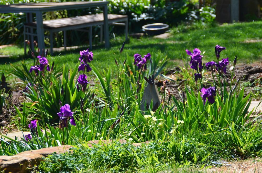 Dairyman'S Cottage Lyndoch Екстериор снимка