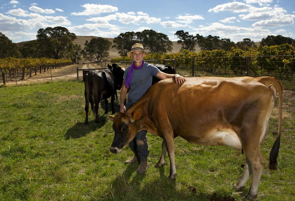 Dairyman'S Cottage Lyndoch Стая снимка