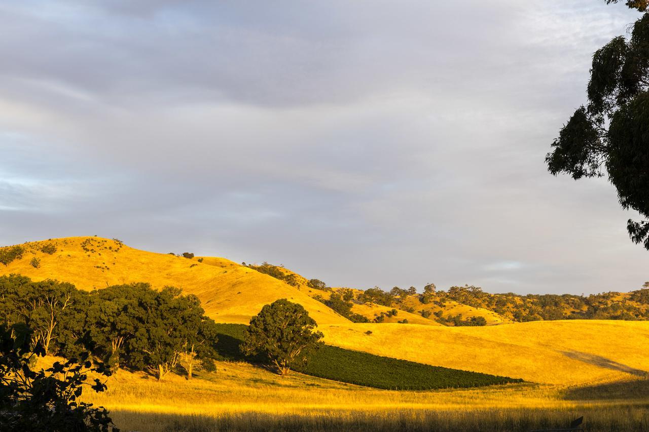 Dairyman'S Cottage Lyndoch Екстериор снимка